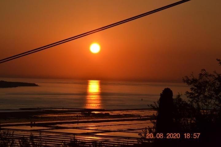 Istrska Hisa Centurium Villa Marezige Dış mekan fotoğraf