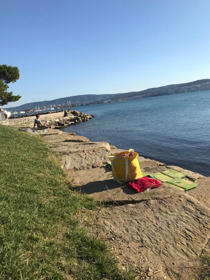 Istrska Hisa Centurium Villa Marezige Dış mekan fotoğraf