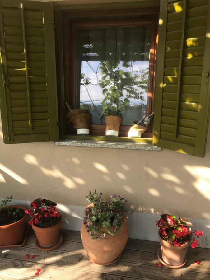 Istrska Hisa Centurium Villa Marezige Dış mekan fotoğraf
