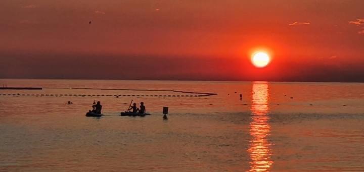 Istrska Hisa Centurium Villa Marezige Dış mekan fotoğraf
