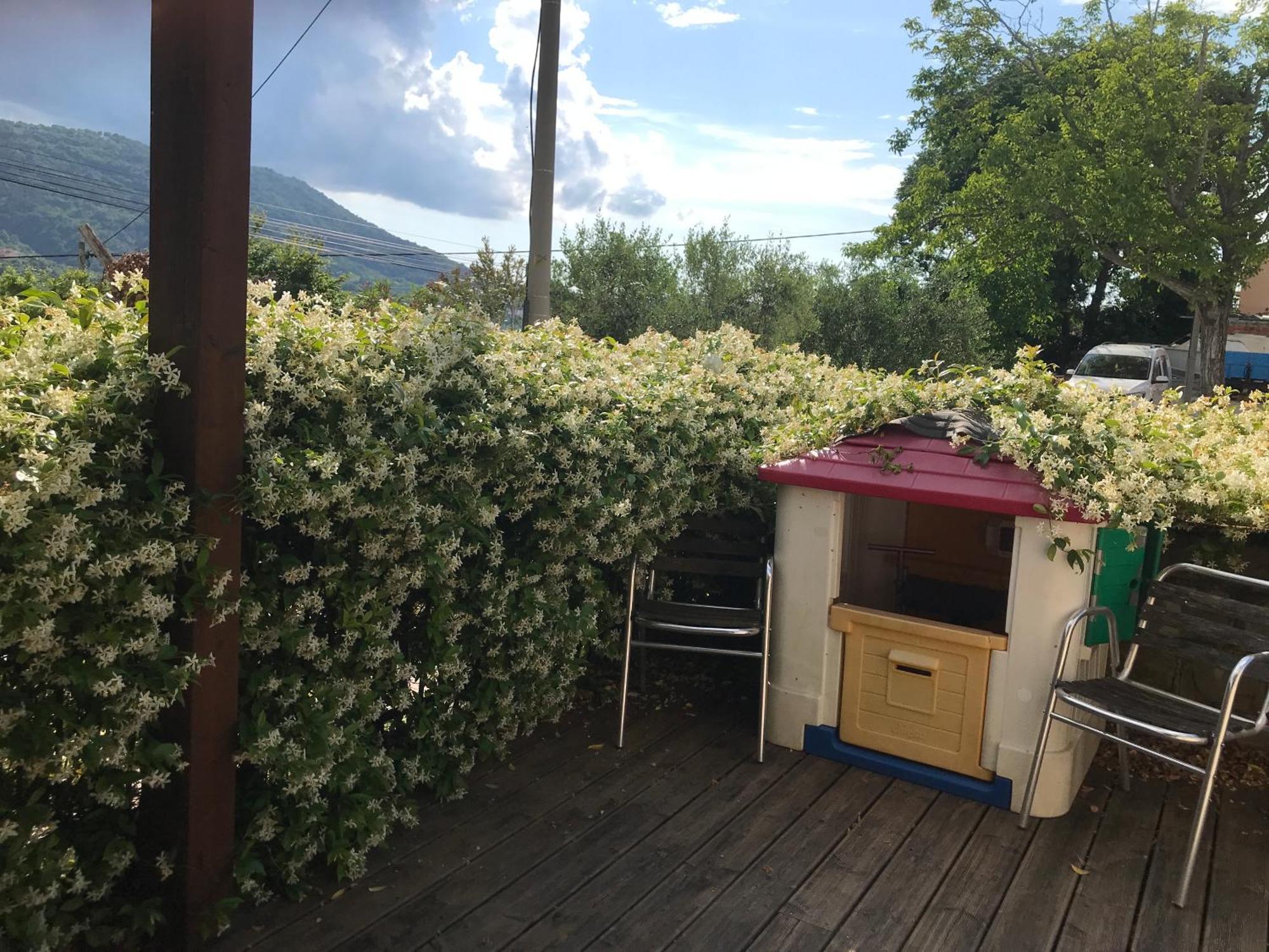 Istrska Hisa Centurium Villa Marezige Dış mekan fotoğraf