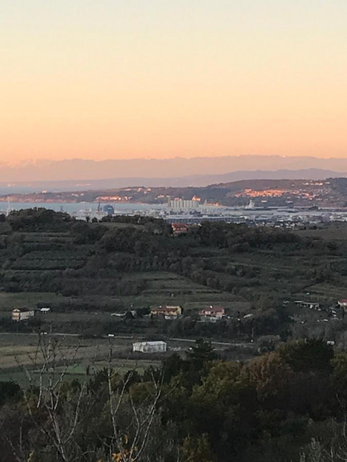 Istrska Hisa Centurium Villa Marezige Dış mekan fotoğraf